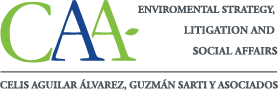 Environmental lawyers