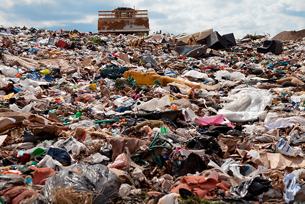 Waste & Contamination