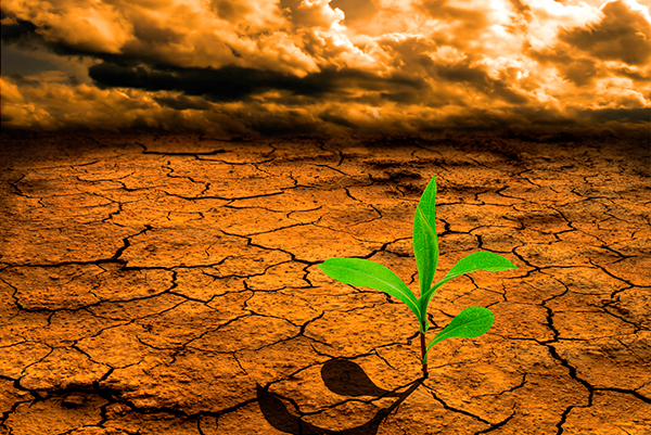 Climate Change