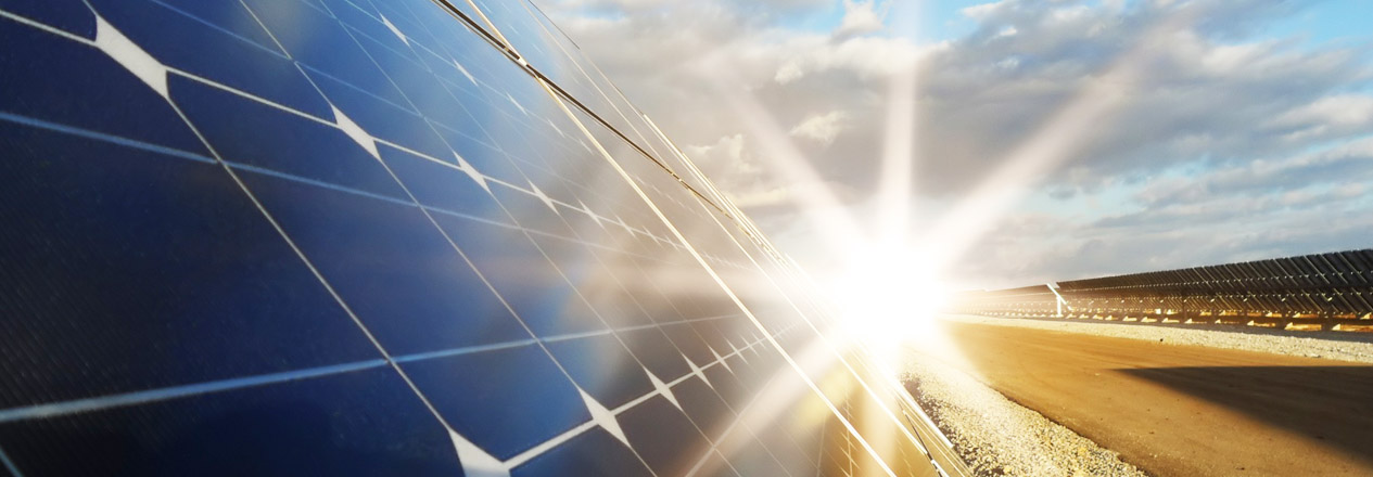 Firma líder Ambiental